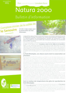 Lettre d’information 2013
