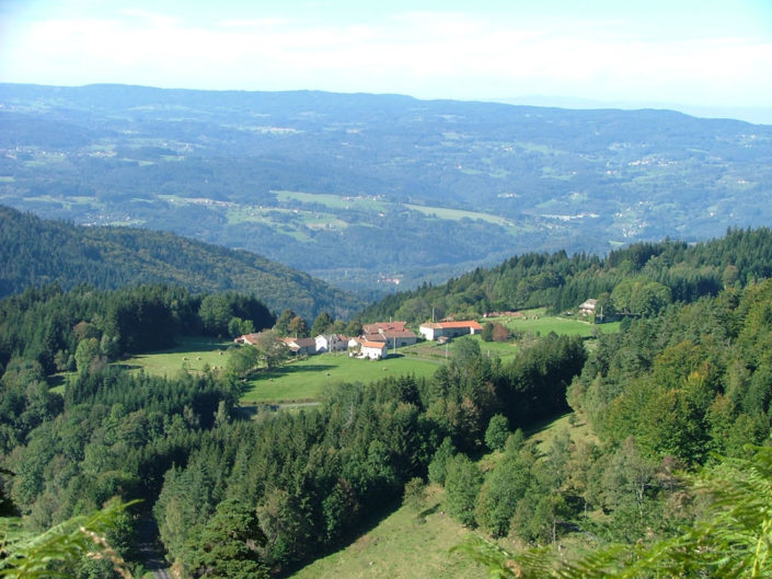 Les Monts du Forez Parc naturel régional LivradoisForez Les Monts du Forez Parc naturel régional LivradoisForez