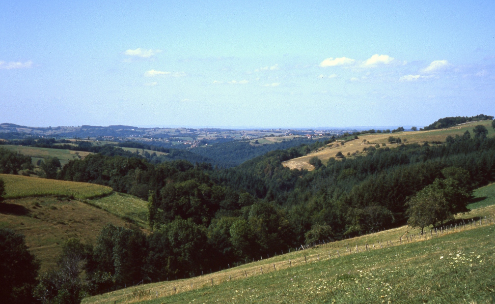 Vallée de la Dore vers Sauviat