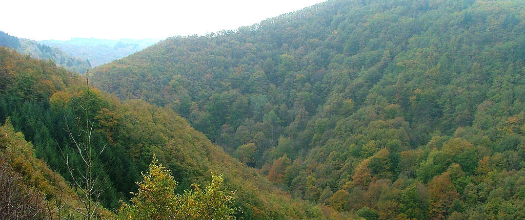 Vallée de la Credogne