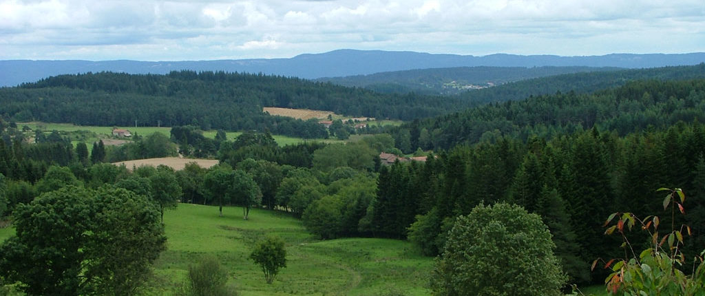 Haut plateau du Livradois