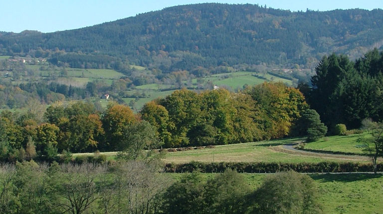 Bassin de Cunlhat - Bois des Bruneilles