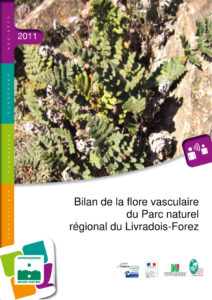 Diagnostic de la flore vasculaire