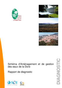 Rapport de diagnostic - 2010