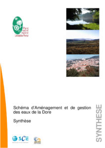 Synthèse du diagnostic - 2010