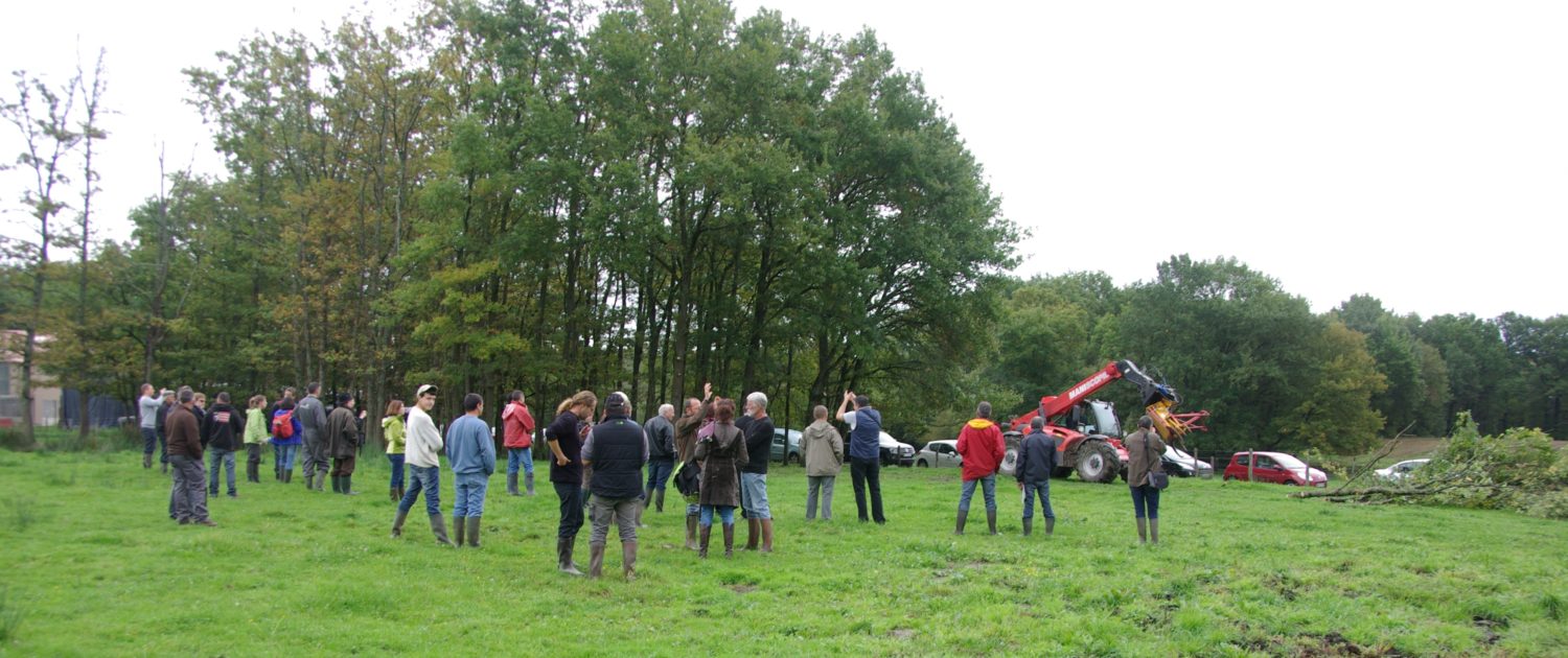 Démonstration d’outils d’entretien et de valorisation du bois bocager à Bort-l’Etang