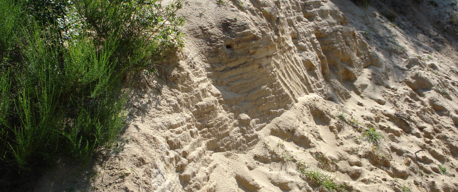 Les dunes des Girauds-Faures