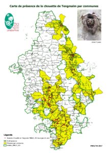 Présence de la Chouette de Tengmalm par communes