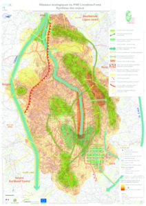 Carte de synthèses des enjeux