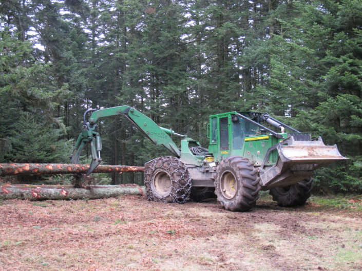 Adjectif Relatif à L Exploitation De La Forêt