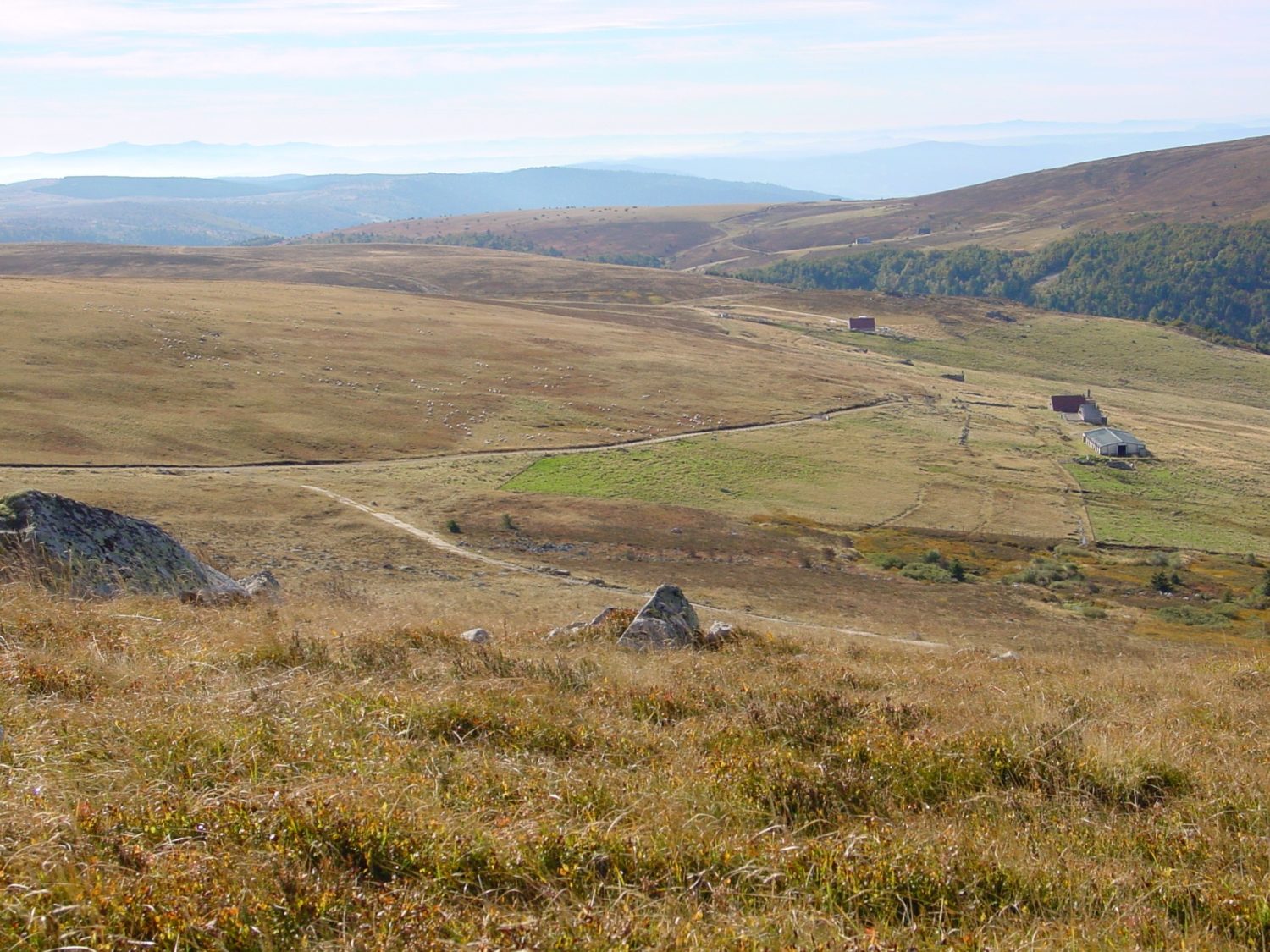 Monts du Forez Parc naturel régional LivradoisForez