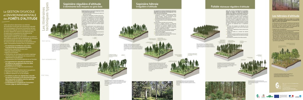 Poster Gestion sylvicole LF (PDF - 1Mb) Poster Gestion sylvicole LF (PDF - 1Mb)