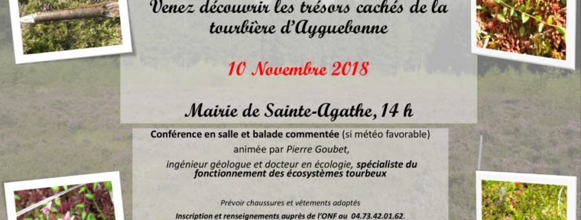 thumbnail of affiche_sortie_tourbière_10nov18