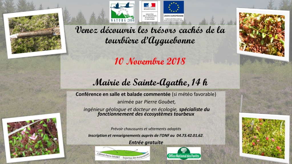 thumbnail of affiche_sortie_tourbière_10nov18