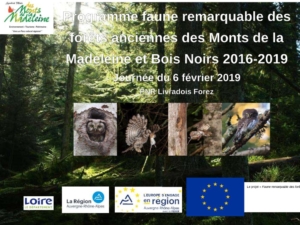 Programme forêts anciennes des Monts de la Madeleine Programme forêts anciennes des Monts de la Madeleine