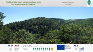 Préparation d’une méthodologie de définition des forêts remarquables et trame de vieux bois Parc naturel régional des Volcans d’Auvergne Préparation d’une méthodologie de définition des forêts remarquables et trame de vieux bois Parc naturel régional des Volcans d’Auvergne