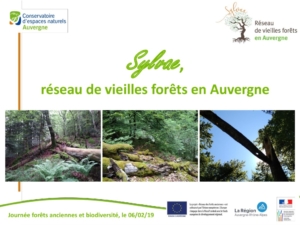 SYLVAE réseau de vieilles forêts en Auvergne SYLVAE réseau de vieilles forêts en Auvergne